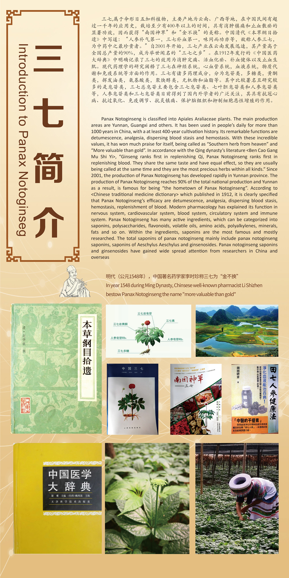 三七簡(jiǎn)介.jpg
